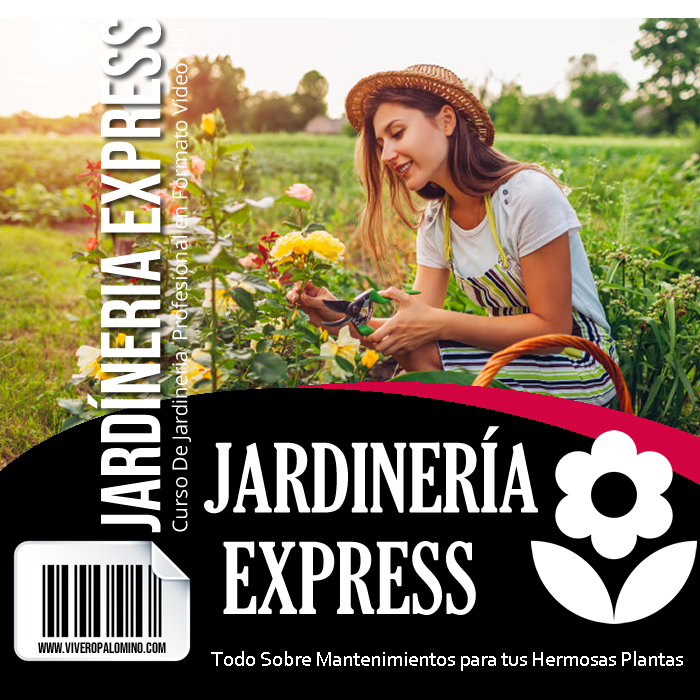 Jardinería Express